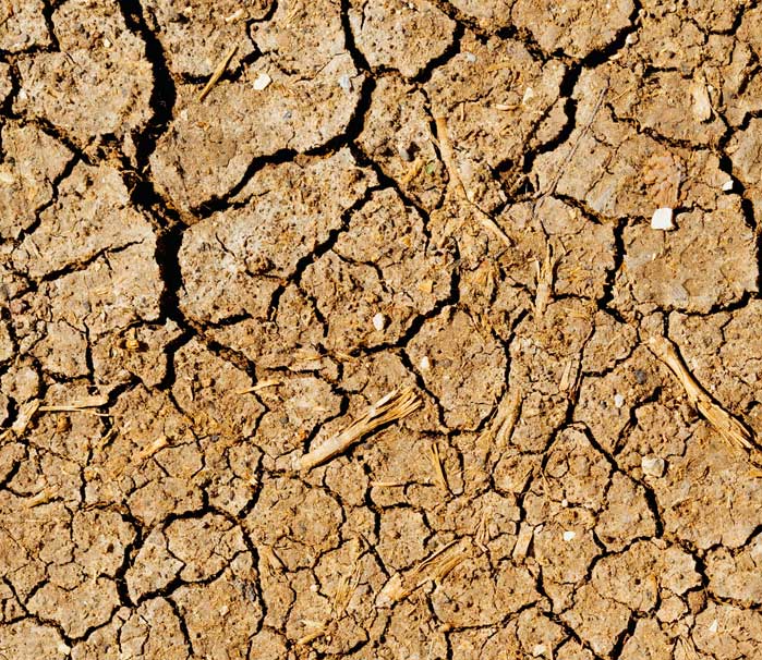 drought stricken land