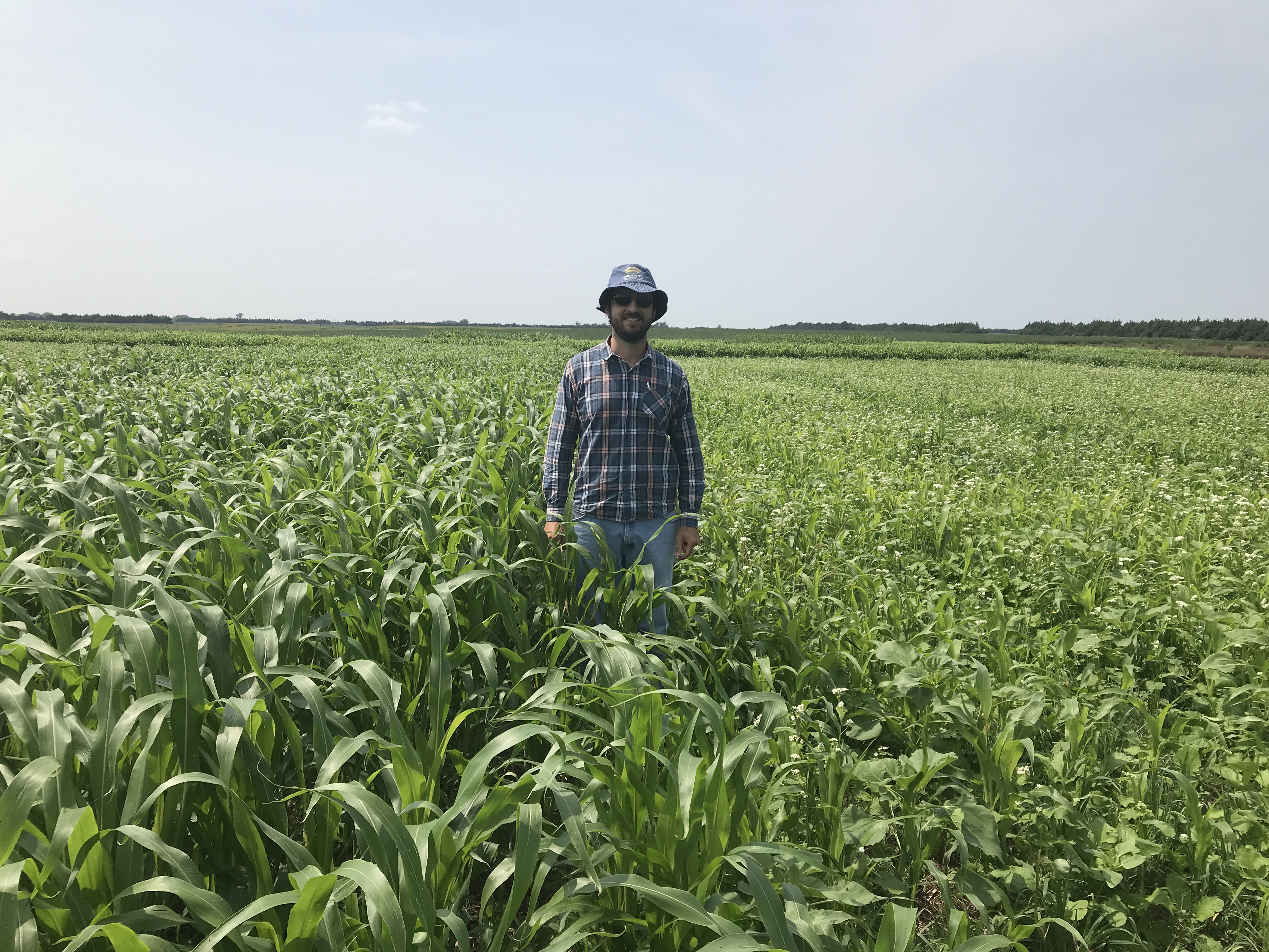 Graduating PhD student Alexandre Tonon Rosa stands in the middle of a field where he is doing cover crop research