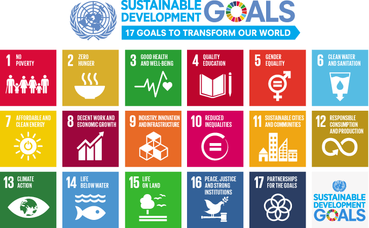 UN Development Goals Graphic