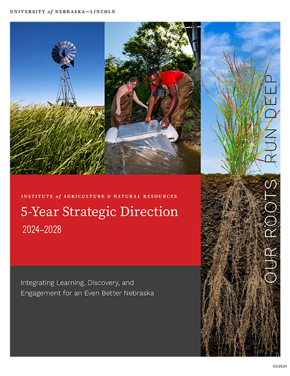 Strategic Direction Cover