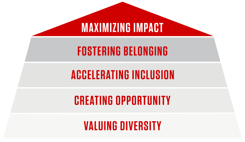 Diversity and Inclusion Graphic