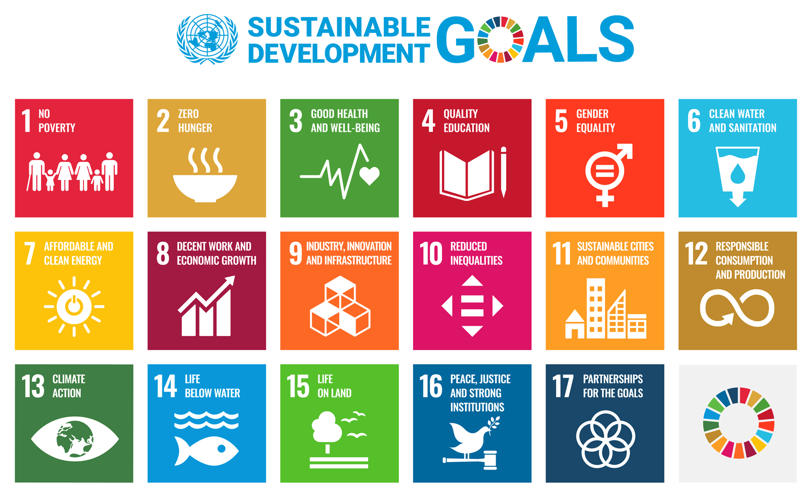Sustainable Development Goals Graphic