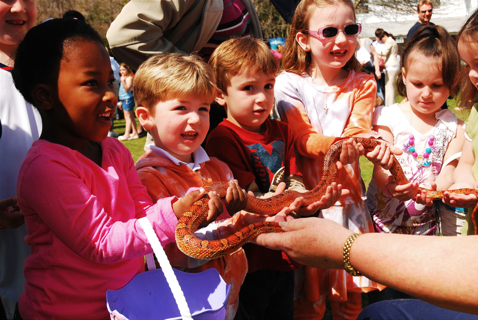 Group of youth holding a snake.