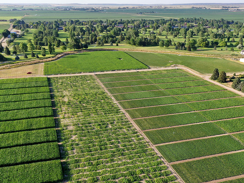 Aerial photo of rural landscape.