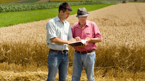 Two farmers, one middle-aged the other older, use a notebook while standing in front of a field of mature wheat.