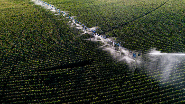 An aerial photo of an irrigation system watering a cornfield.