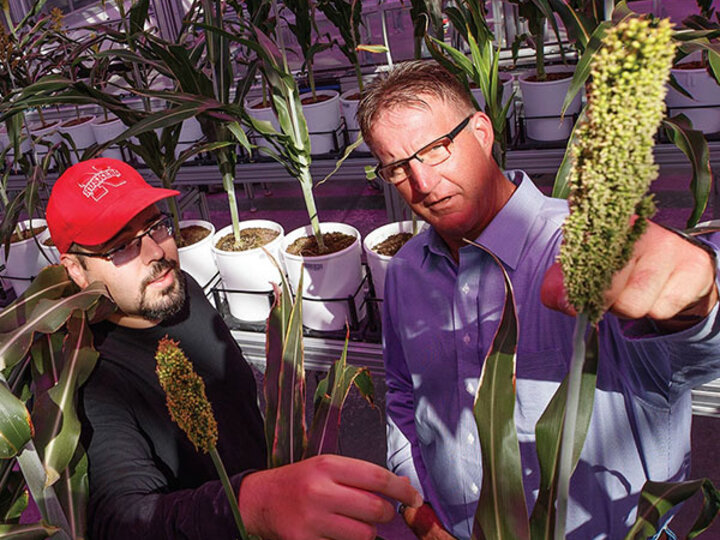 Researchers in lab