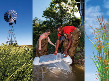 Photo collage from IANR's Strategic Direction.