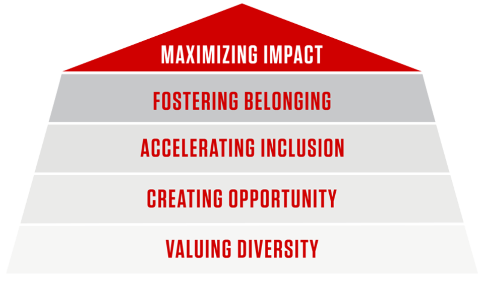 Diversity Graphic