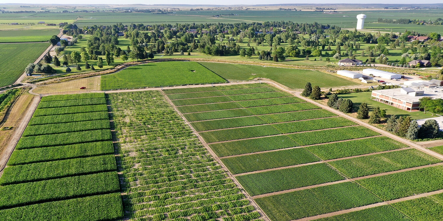 A view of some of the research plots surrounding the Panhandle Research, Extension and Education Center, taken by a drone.